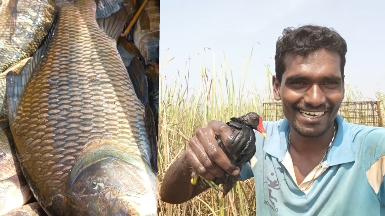 🎣🦩ఈరోజు నా చేపల వేటలో ఒక కొత్త మలుపు తిరిగింది..| Natural Fishing | Big Fish.
