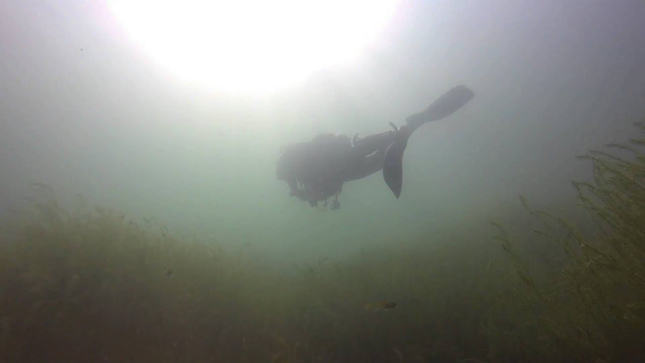 Ofllumer See 10 08 2014