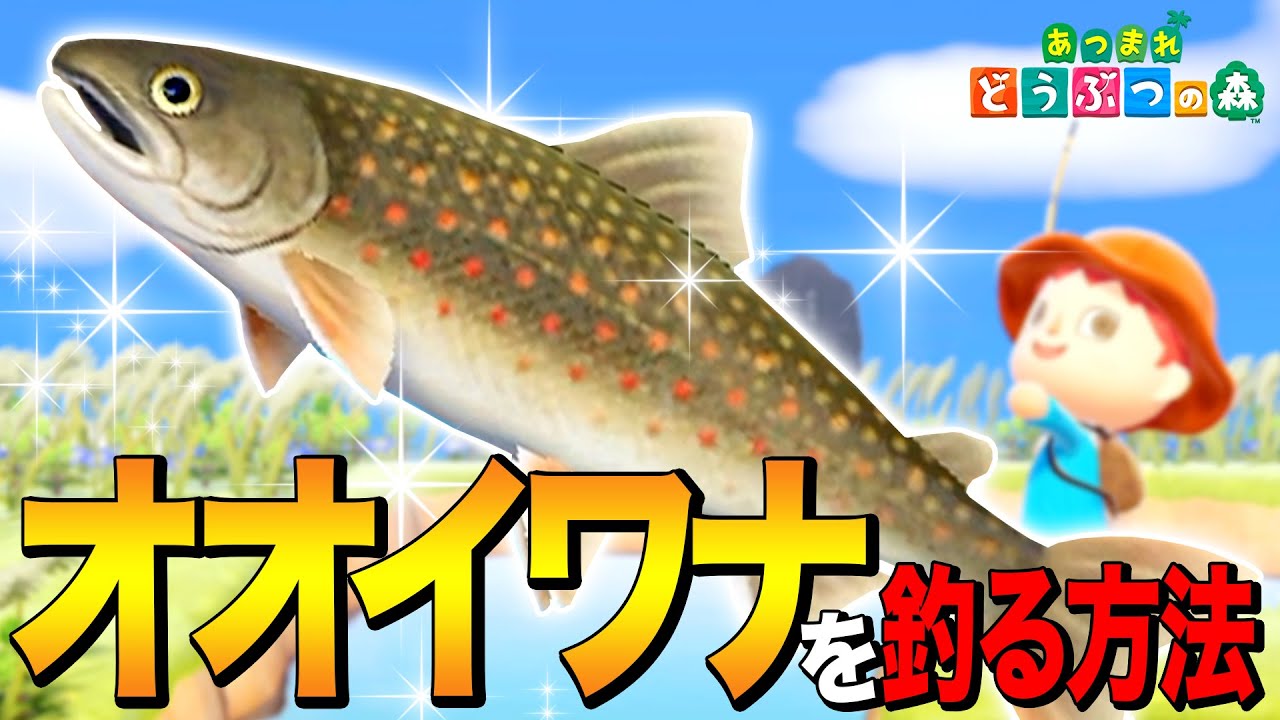 【あつ森】魚影バグ？歩く魚「オオイワナ」を釣る方法 ～Char～【あつまれ どうぶつの森】