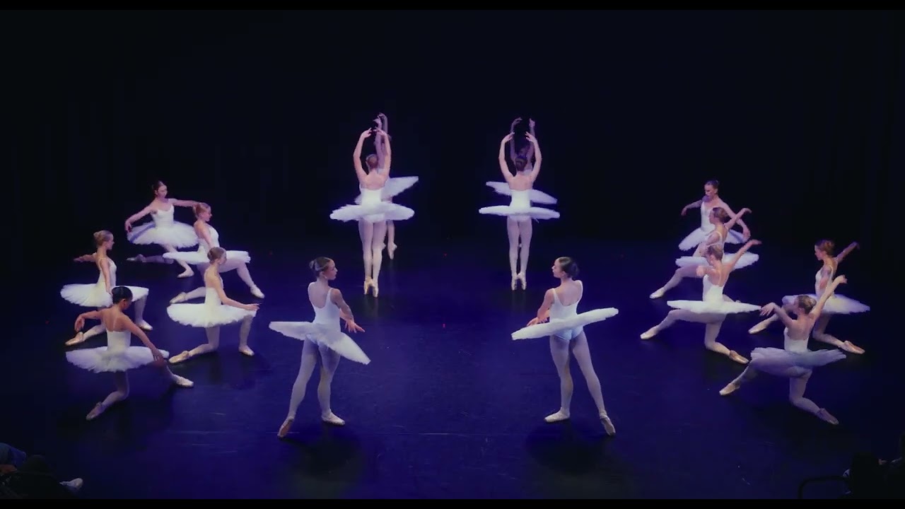 1 SWAN LAKE
