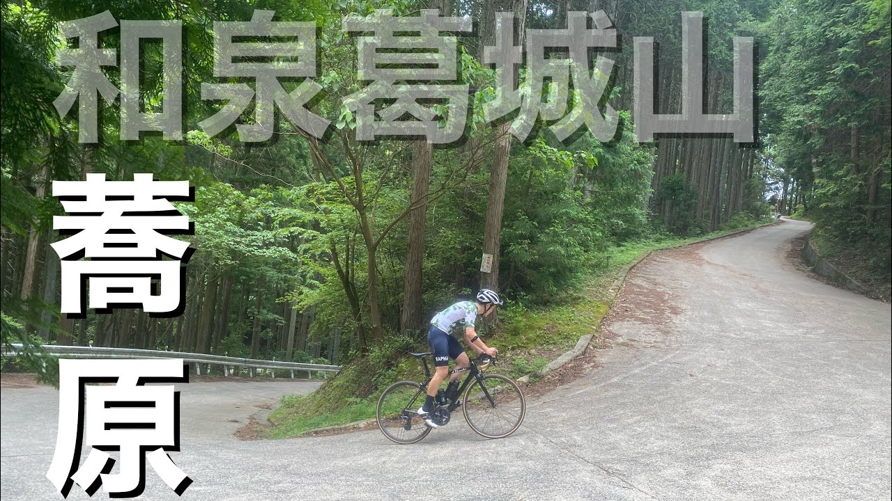和泉葛城山　蕎原ルート【ヒルクライム】【ロードバイク】