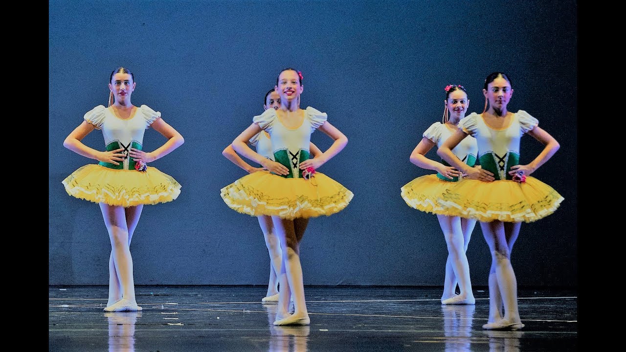 Allegro con brio: 1° Corso