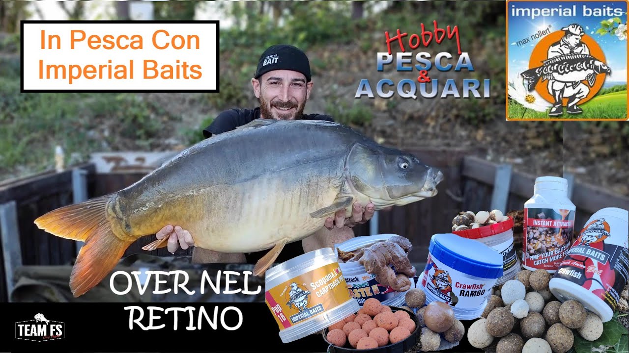 TEAMFS & IMPERIAL BAITS in Sessione All'Angler Park (The Perfect Match) FullHD
