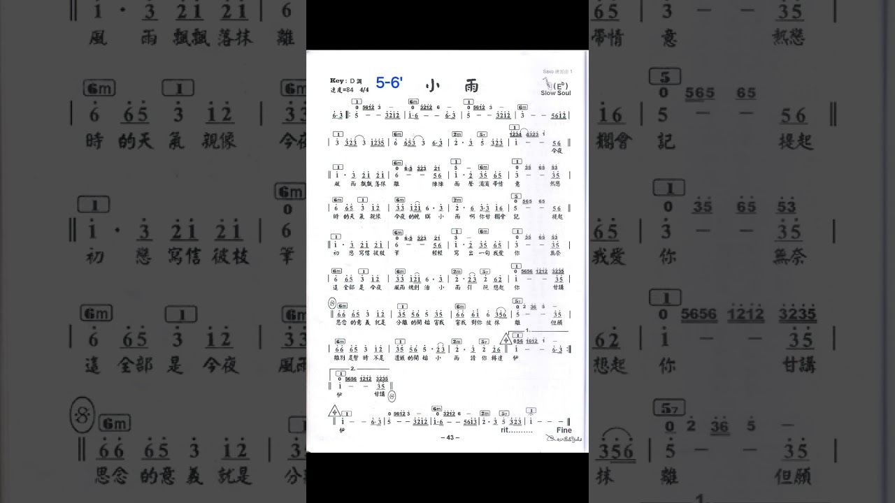 小雨 D 譜伴