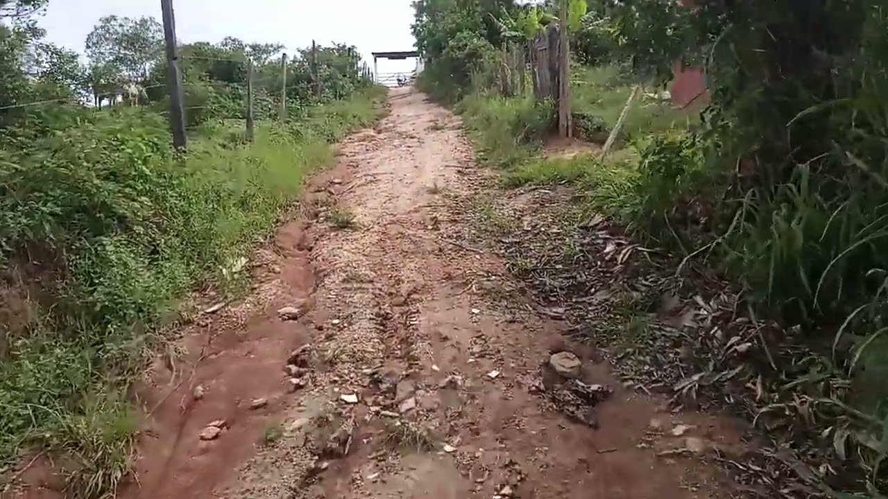 DOMINGO FUI VÊ O SÍTIO DO ALTO 🐄🐄🐄 