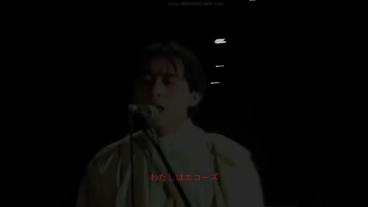 P-MODEL echoes [1984 LIVE]