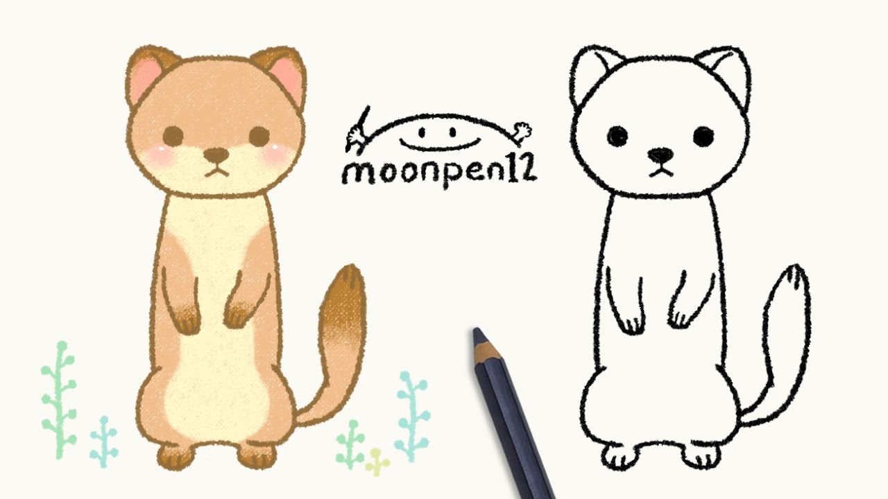 족제비 그리기 weasel drawing
