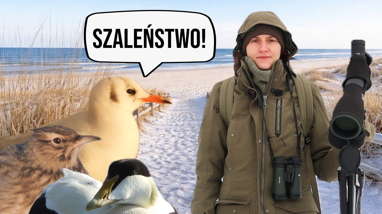 Co dzieje się na Helu zimą?