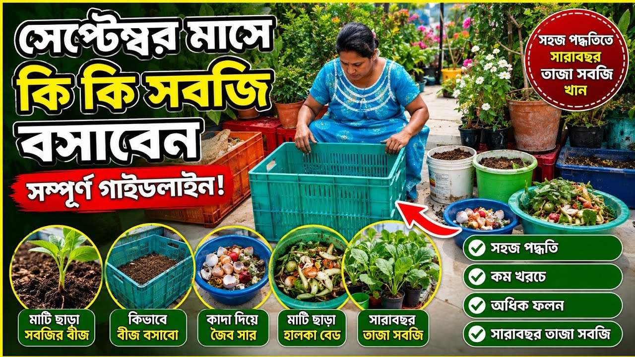 সেপ্টেম্বর মাসের মাঝামাঝিতেই শুরু করে দিলাম সবজির বীজ বসানো, মাটি ছাড়া বেড, জৈব সার তৈরি।।♥️🌿