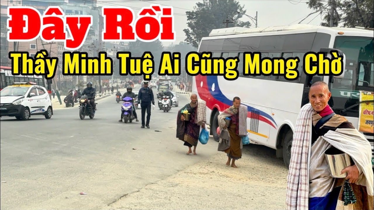 Thầy Minh Tuệ Đây Rồi… Các Sư Phụ Khất Thực Về Muộn Làm Ai Cũng Mong Chờ #suminhtue #thienchiukho 