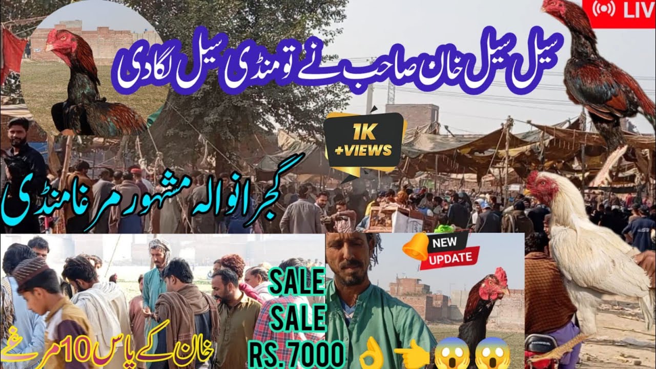 😱 | Gujranwala | RS 7000 Ka | Powerful Murgha | Khan Sahab Ki | Live Sale🤫 | Murgha Mandi Update