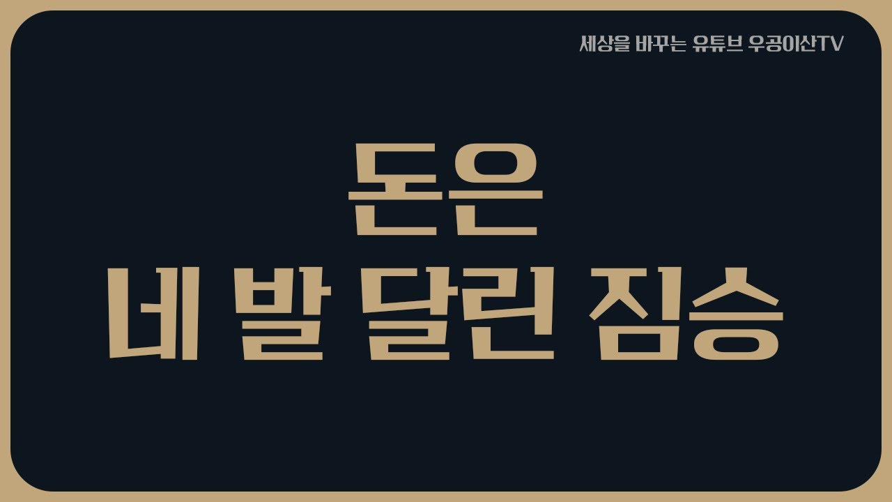[ 돈은 네 발 달린 짐승 돈에 무심한 자가 큰 돈을 벌게 되는 하나님의 섭리에 대하여 ] 11월 14일 우공이산TV LIVE🔴