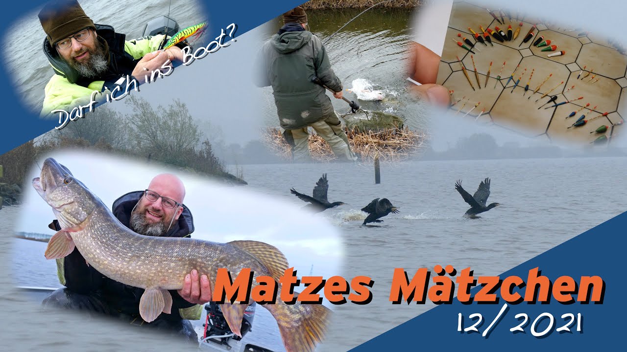 Matze Koch: Schniepel auf Schniepel auf Meter! - Matzes M&auml;tzchen 12-2021