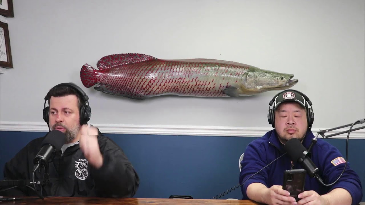 MONSTER FISH TALK With Predatory Fins & Stingray Biology