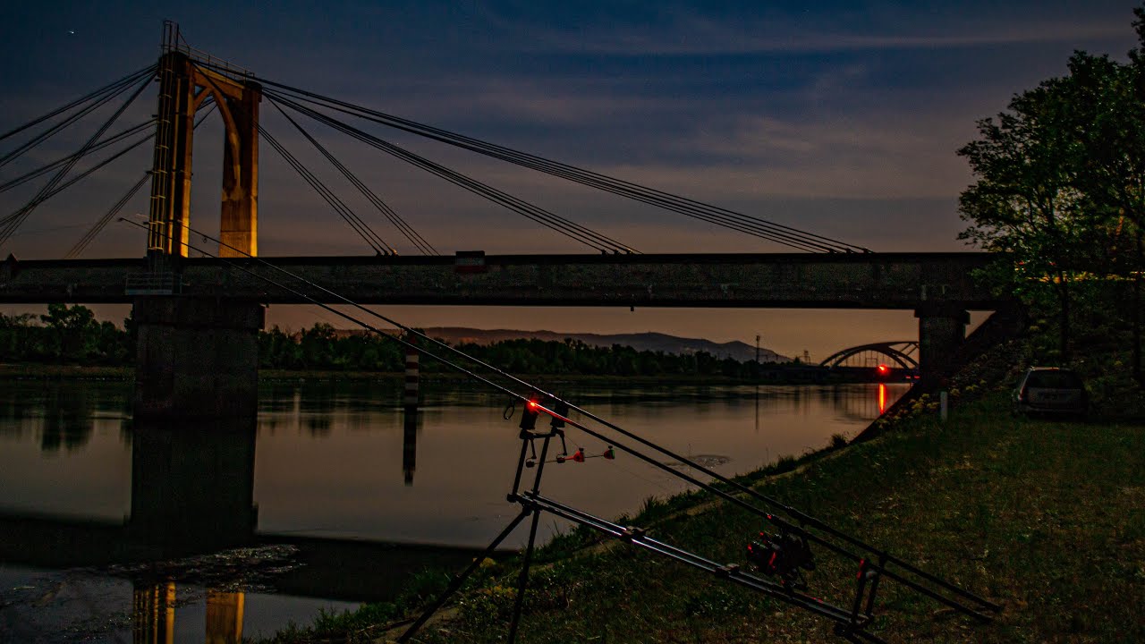 La nuit des silures ~ Pêche de la carpe sur le canal du Rhône