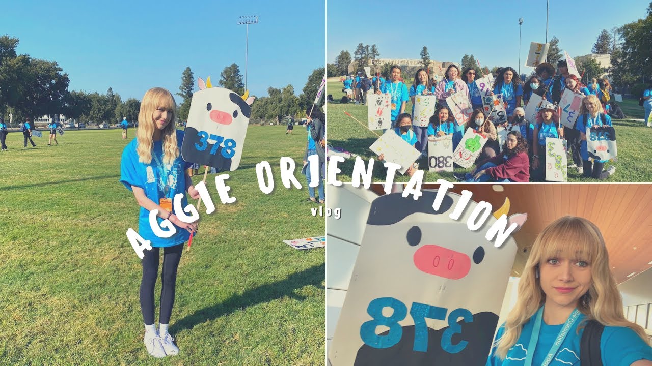 UC Davis College Orientation Vlog! Orientation Leader POV