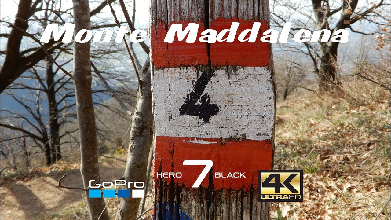 Monte Maddalena dalla Scaletera - Sentiero N 4