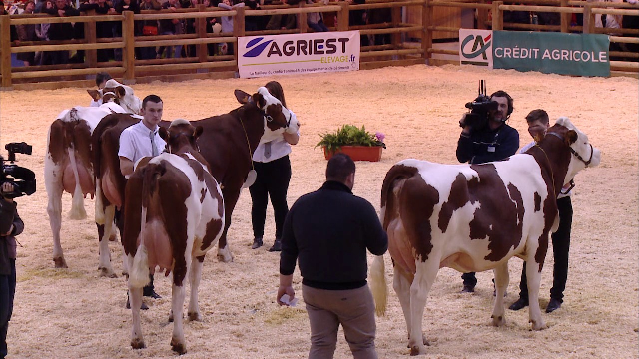 Replay - CONCOURS MONTBELIARDE Lundi 26 fevrier