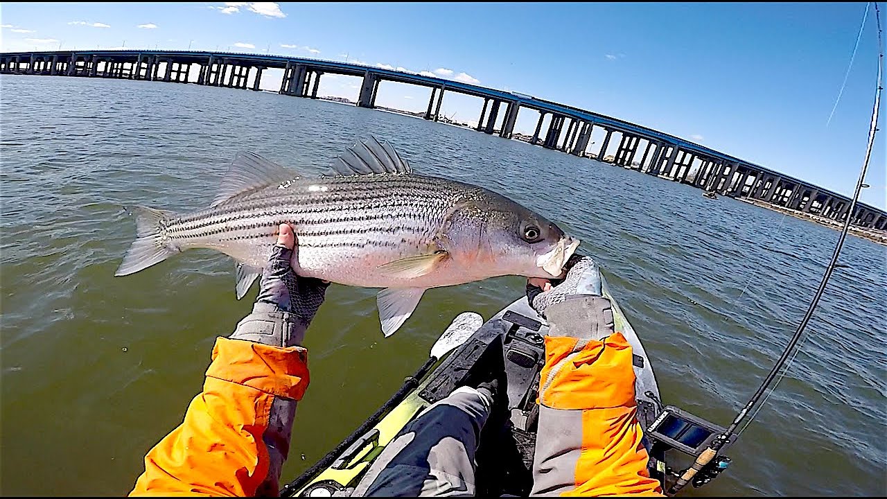 Early Spring Jersey Stripers