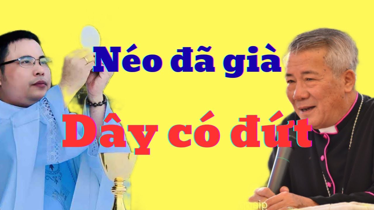 Vụ việc tại giáo phận Vinh: néo đã già, liệu dây có đứt?