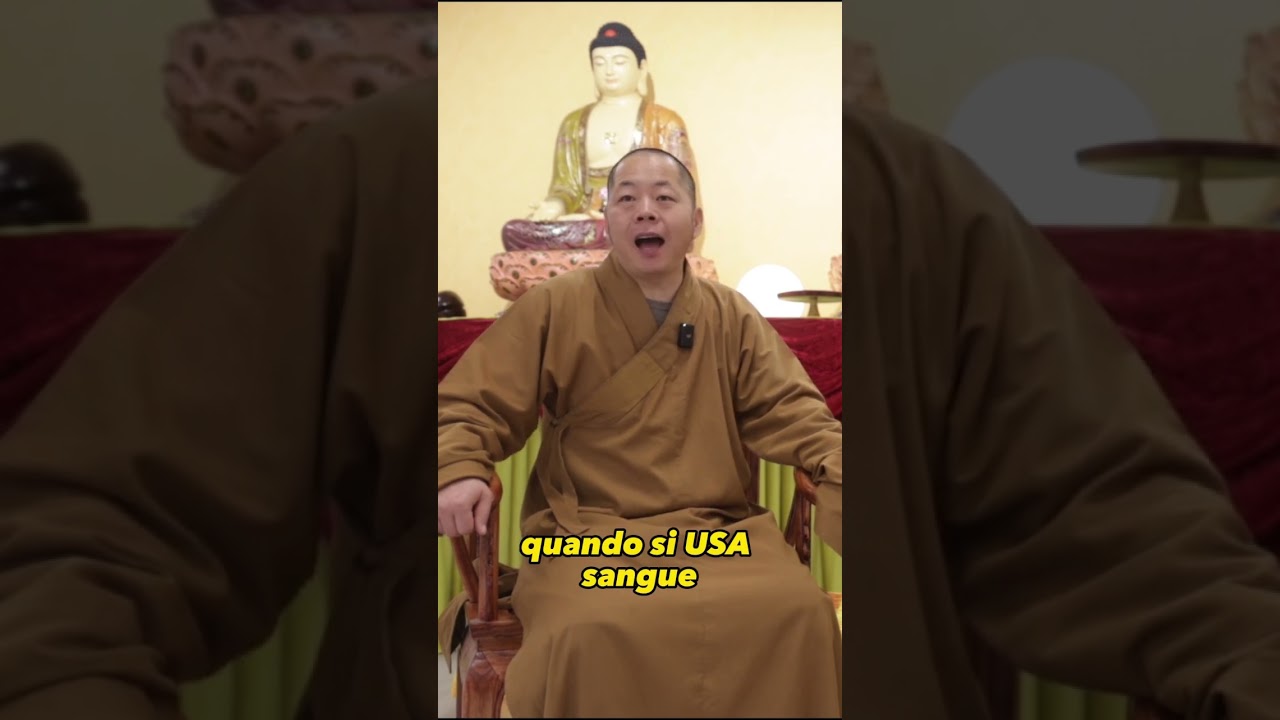 Energia interna dello shaolin