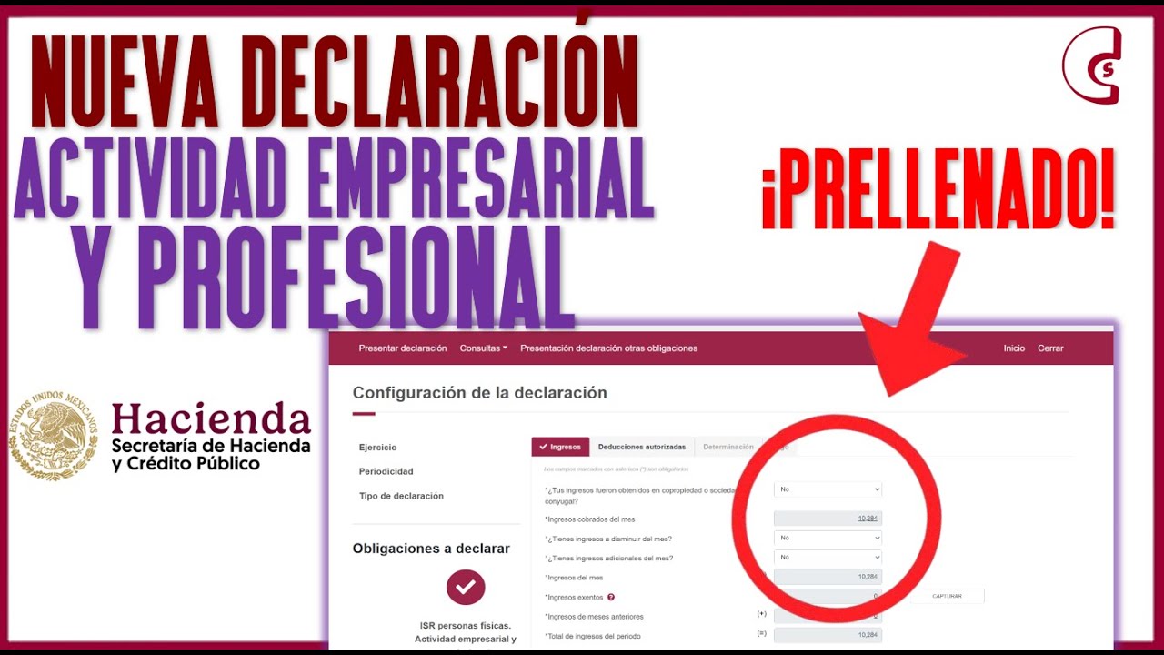 Guía Rápida Nueva Declaración Actividad Empresarial, Profesional