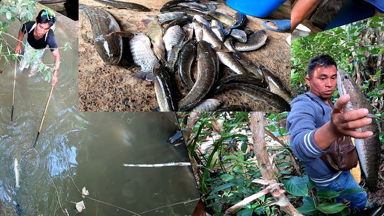 Ganito lang pala manghuli ng isdang ilog/sapa, MALALAKI Subrang nakaka-enjoy ito ☝☝