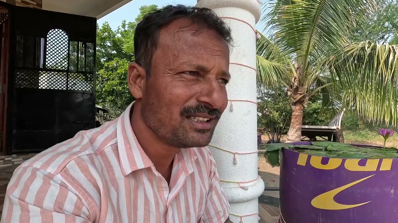 माशांना पिल्ले झाले,November 21, 2024