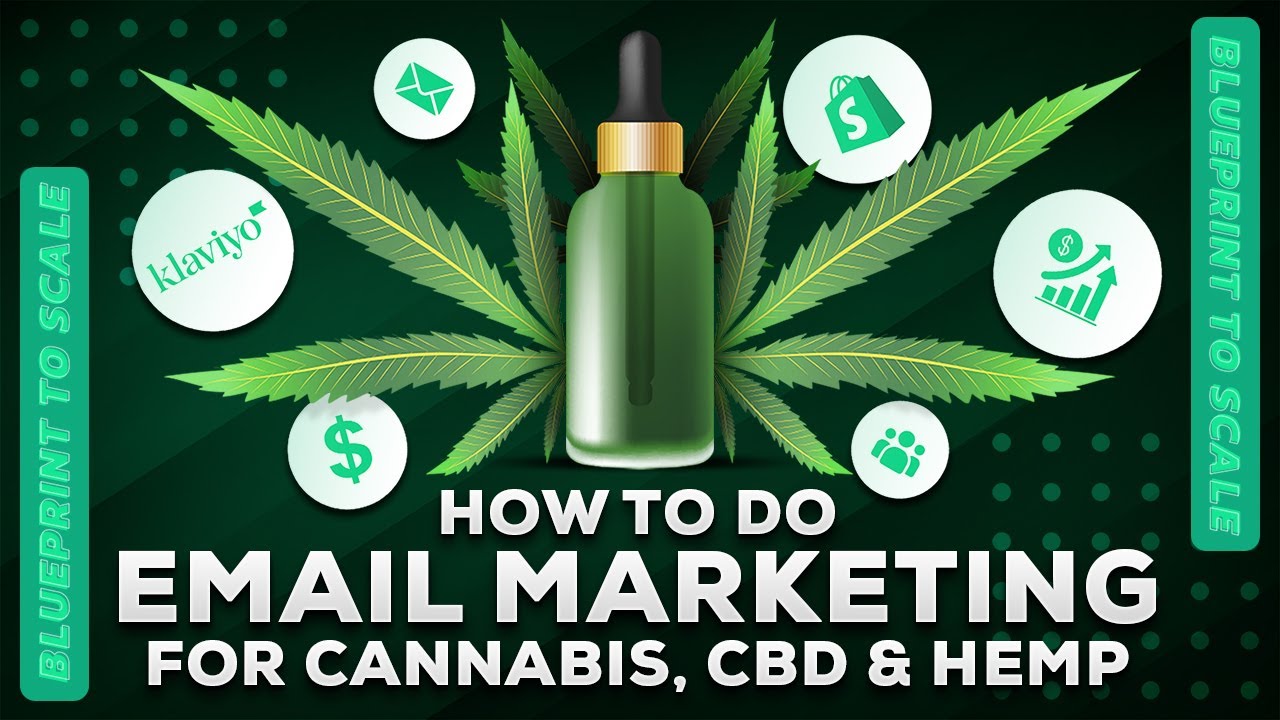 Ultimate Guide to Email Marketing for CBD, Cannabis, and Hemp (FULL BLUEPRINT) - CannaScale