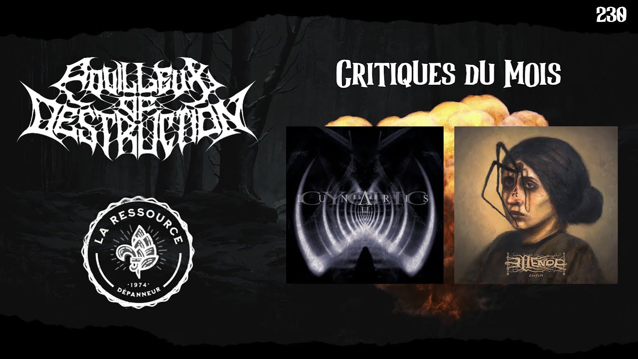 Pouilleux of Destruction - Épisode 