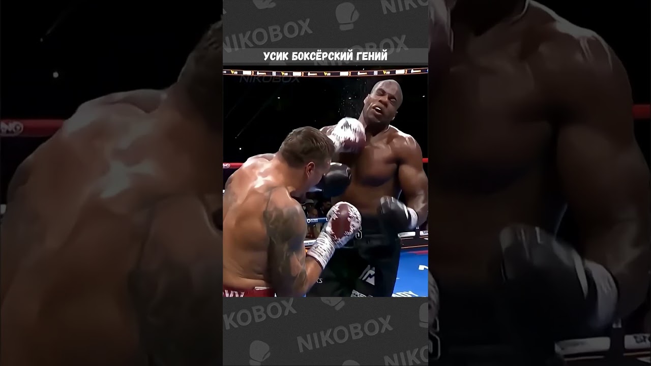 Джо Роган и Марк Керр: Усик &mdash; боксёрский гений  #бокс #boxing