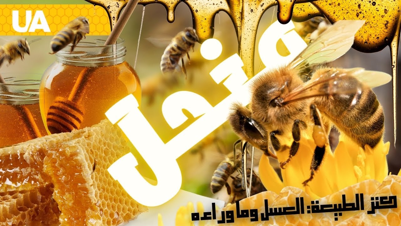 تربية النحل في أوكرانيا :  العسل النقي، وزهور لا مثيل لها