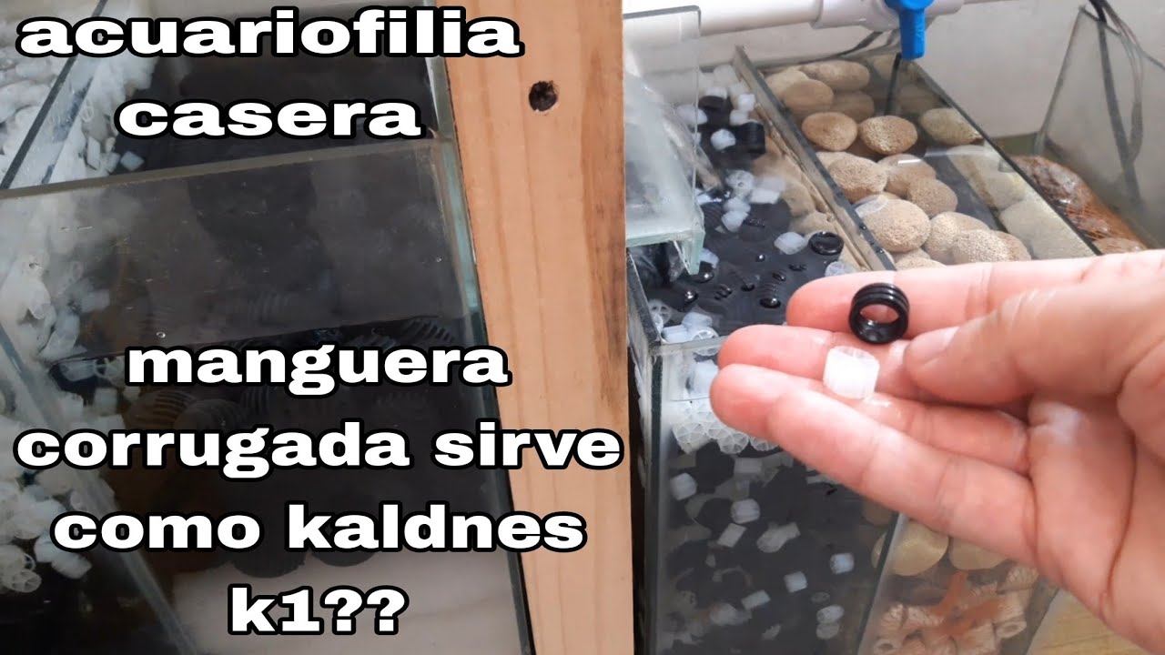 los resultados de usar kaldnes k1 en mi filtro sump.