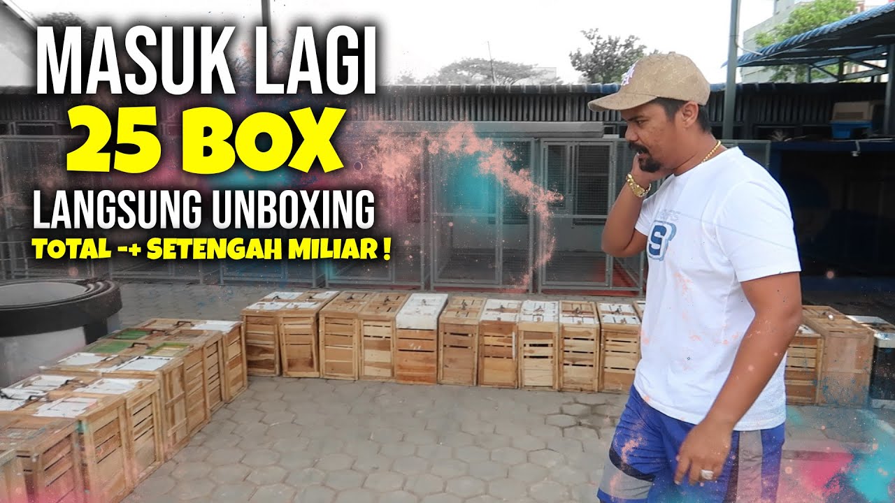 🛑 PULUHAN IMPORT MENDARAT DI PETERNAKAN NANDA BREWOK🏆