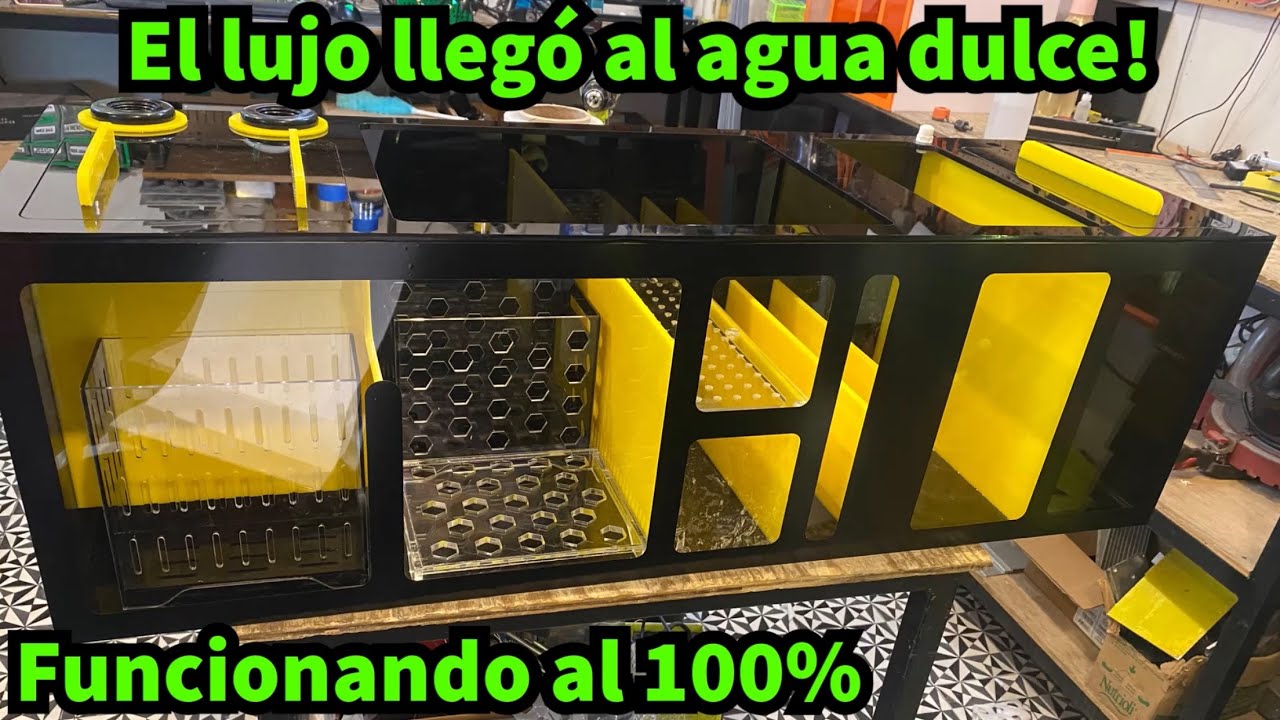 Tunéame el acuario: Nuestro primer sump de lujo para agua dulce
