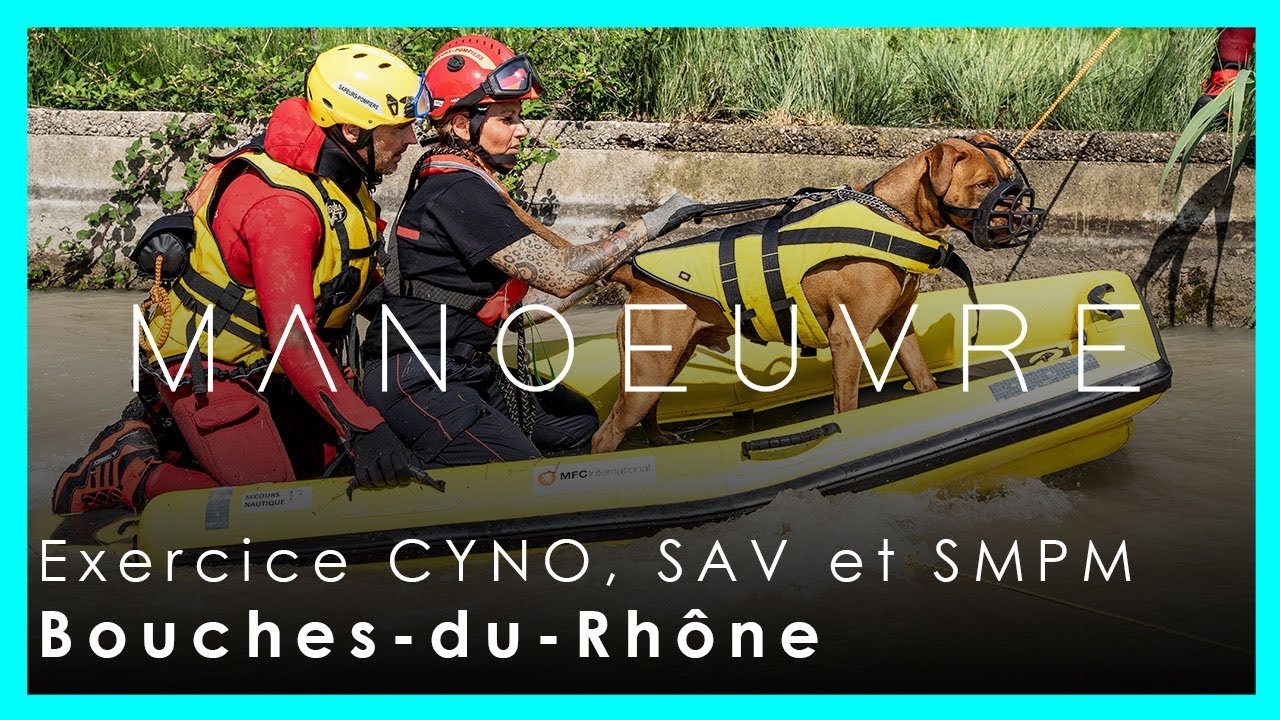 Stage Cyno : les chiens aussi sauvent des vies !