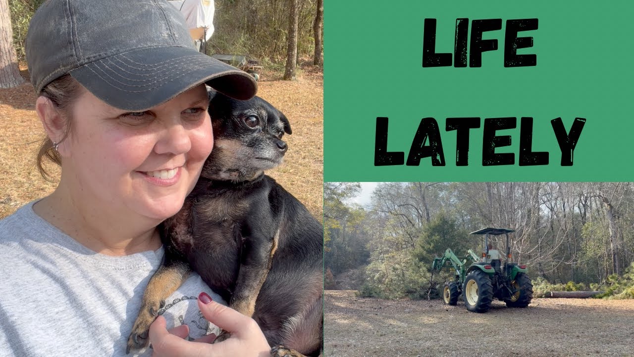 Life Lately | Buster Updates, Time at the Property & Small Thrift Haul #dayinthelife #thrifthaul 