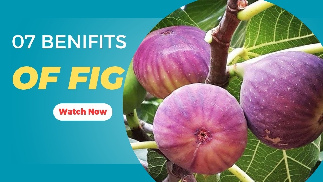 07 Benefits Of Fig || Anjeer Ke 07 Faiday