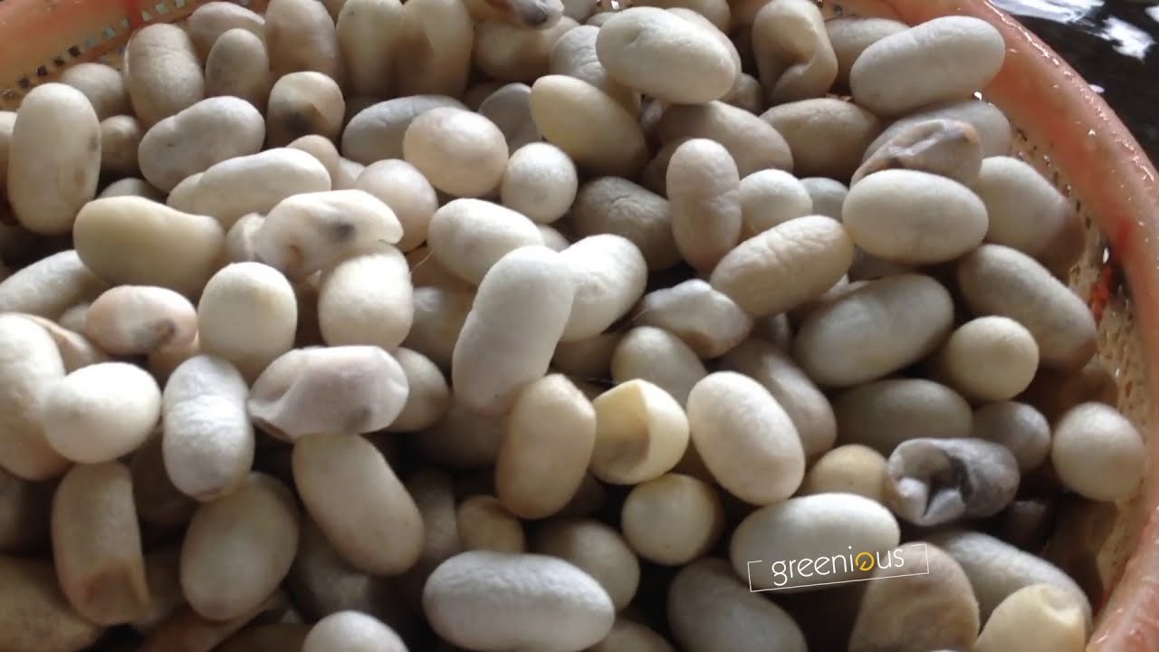 Fabbrica di seta in Vietnam