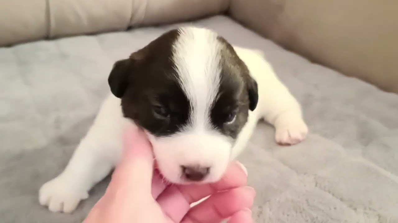 Мамин сын💙💙💙