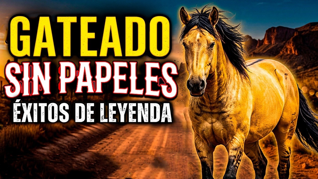 EL GATEADO SIN PAPELES: dejó a todos riéndose… pero cuando llegó la APUESTA GRANDE, su dueño tuvo...