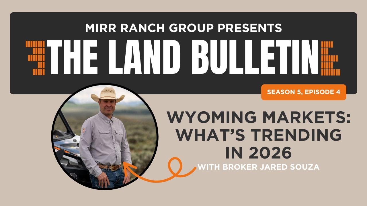 Wyoming Markets: What’s Trending in 2026