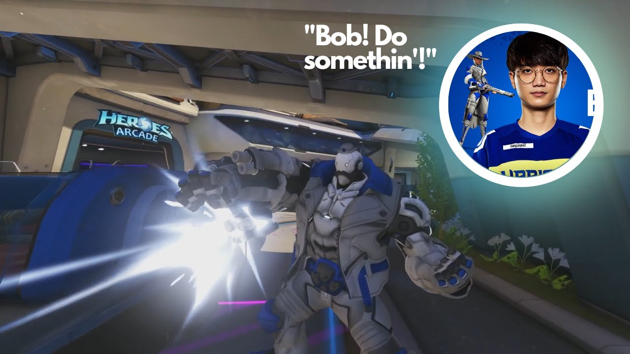 Overwatch League Birdring Bob Do Something