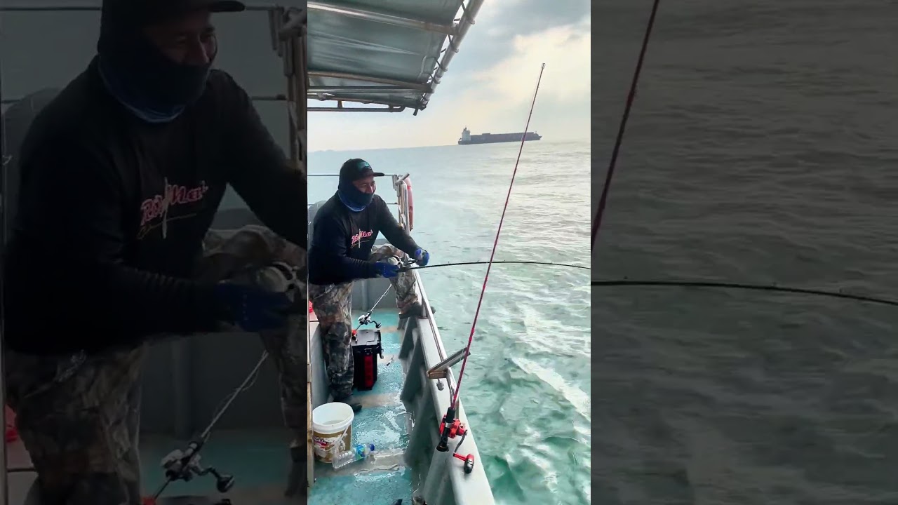 Mantap Lur...rasa rasa  Melawan Tenaga ikan monster super mantap Tenaganya