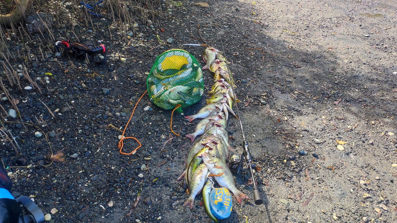 Natapatan na namin ang Bahay ng mga isda❗Puno ang tuhugan