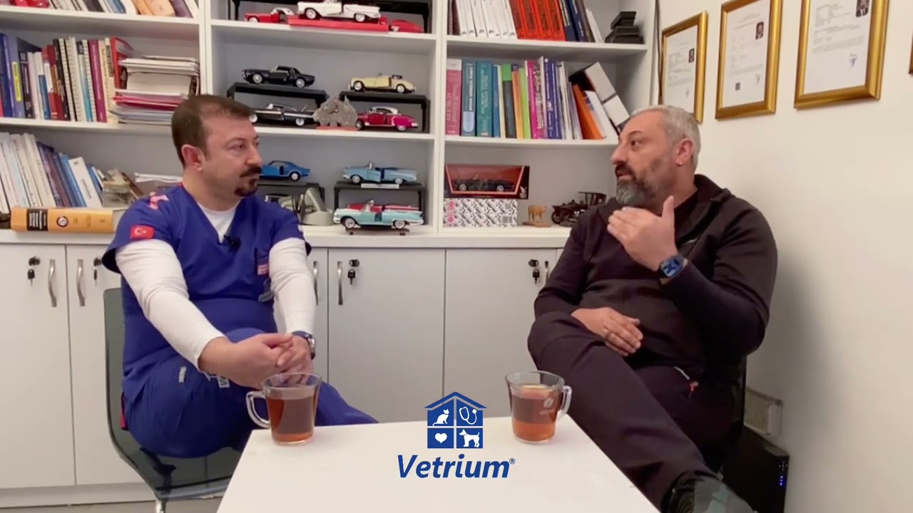 Tehlikeli Köpek Irkları ile Yaşam