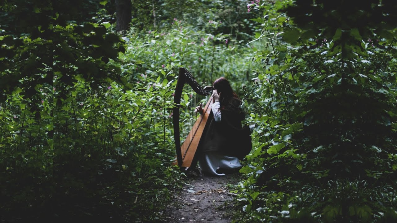 Un druide dans la forêt  (harpe celtique, musique d'ambiance )