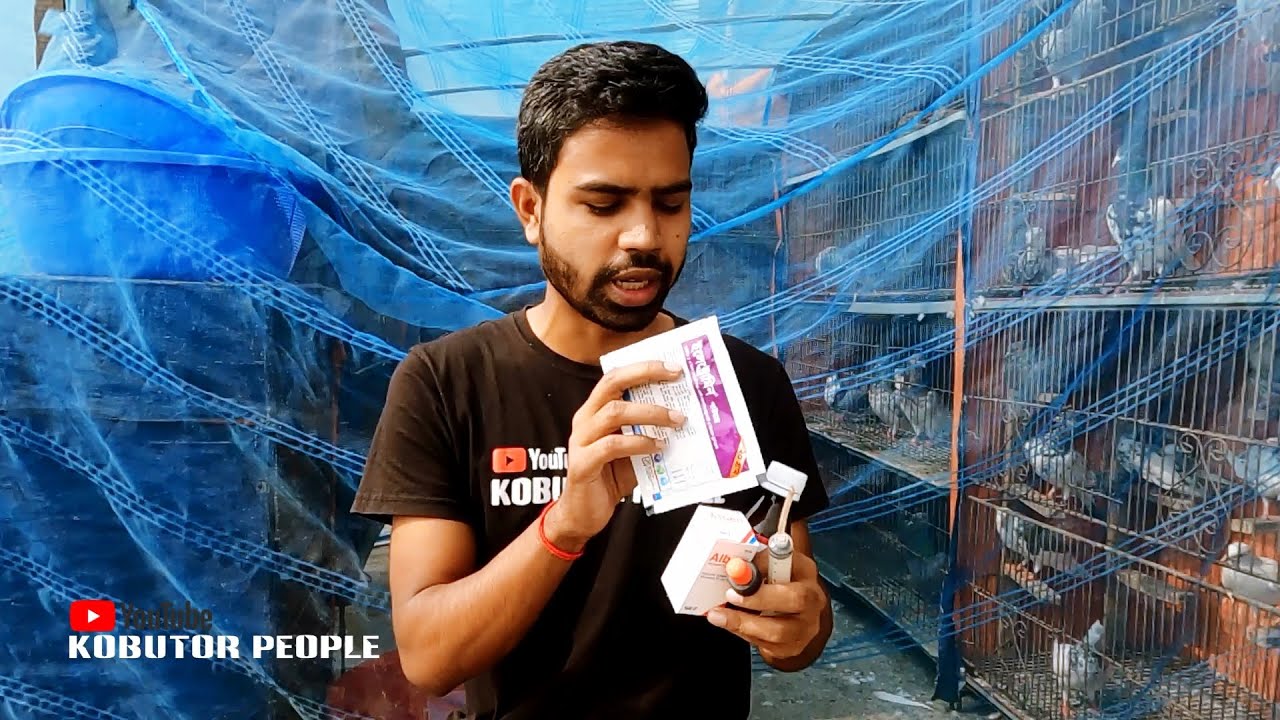 #16 কবুতরের নতুন ঔষধে কৃমি কোর্স + মাসিক ঔষধ | Rajon
