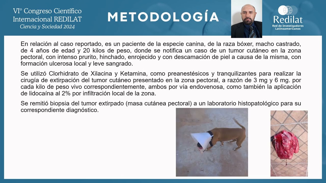 Mastocitoma cutáneo de alto grado en un perro Bóxer con resultado adverso a quimioterapia...