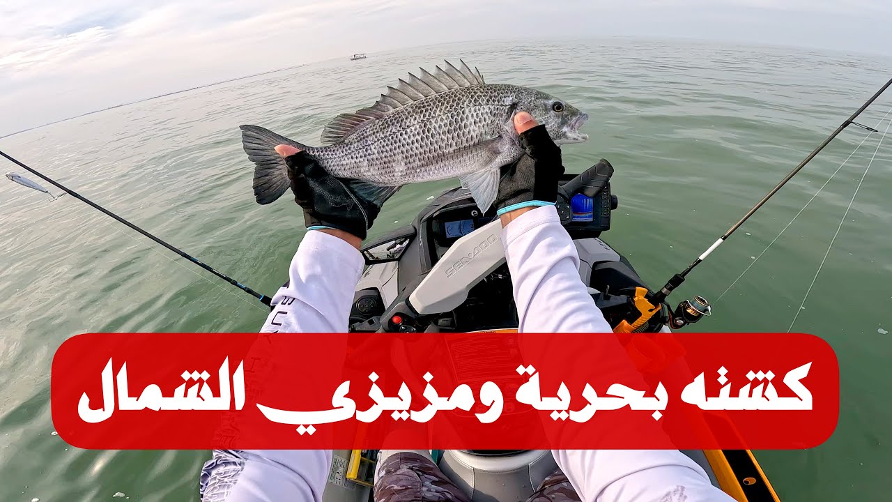 لفاح من اللي يحبه قلبك ❤️